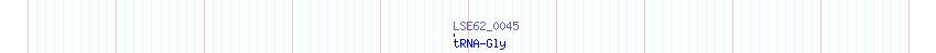 tRNA detail