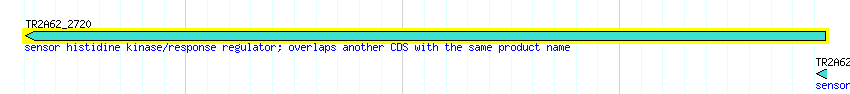 CDS detail